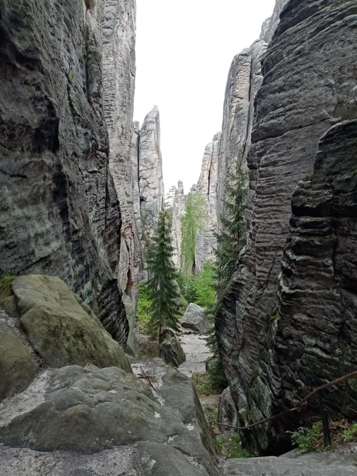 Penzion Jura Chřibská Exteriér fotografie